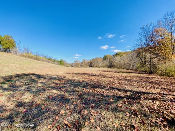 3825 Deep Creek Rd, Harrodsburg, Kentucky 40330, ,Land,For Sale,Deep Creek,1648934