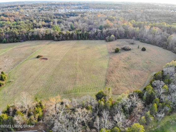 8806 Independence School Rd, Louisville, Kentucky 40229, ,Land,For Sale,Independence School,1649136