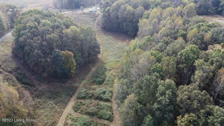 982 Bennett Rd, Summersville, Kentucky 42782, ,Land,For Sale,Bennett,1649159