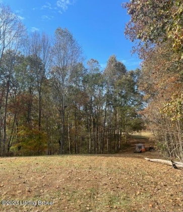 982 Bennett Rd, Summersville, Kentucky 42782, ,Land,For Sale,Bennett,1649159