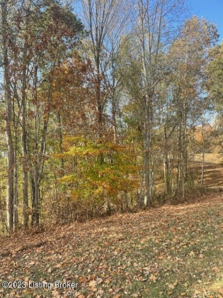 982 Bennett Rd, Summersville, Kentucky 42782, ,Land,For Sale,Bennett,1649159