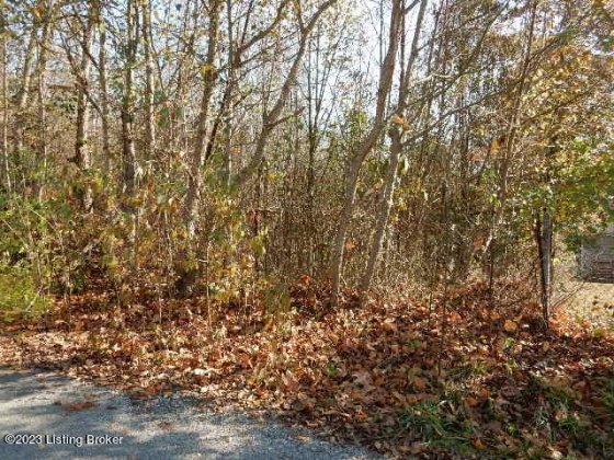 5C Sarah Way, Shepherdsville, Kentucky 40165, ,Land,For Sale,Sarah,1649221