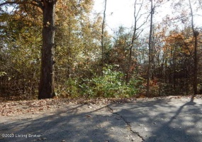 5C Sarah Way, Shepherdsville, Kentucky 40165, ,Land,For Sale,Sarah,1649221