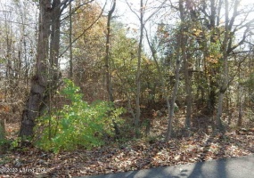 5C Sarah Way, Shepherdsville, Kentucky 40165, ,Land,For Sale,Sarah,1649221