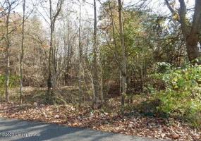 5C Sarah Way, Shepherdsville, Kentucky 40165, ,Land,For Sale,Sarah,1649221