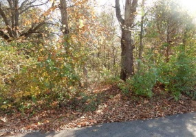 5C Sarah Way, Shepherdsville, Kentucky 40165, ,Land,For Sale,Sarah,1649221