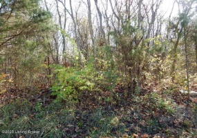 5C Sarah Way, Shepherdsville, Kentucky 40165, ,Land,For Sale,Sarah,1649221