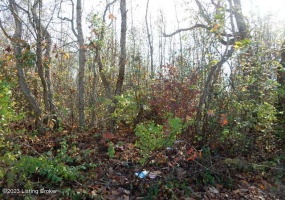 5C Sarah Way, Shepherdsville, Kentucky 40165, ,Land,For Sale,Sarah,1649221