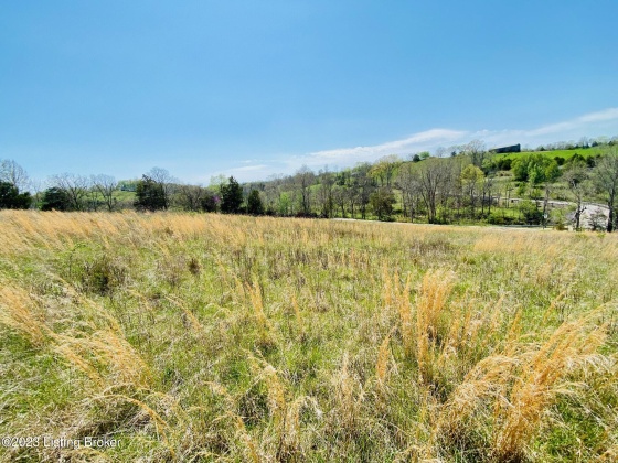 Lot#16 Battle Rd, Mackville, Kentucky 40040, ,Land,For Sale,Battle,1645958