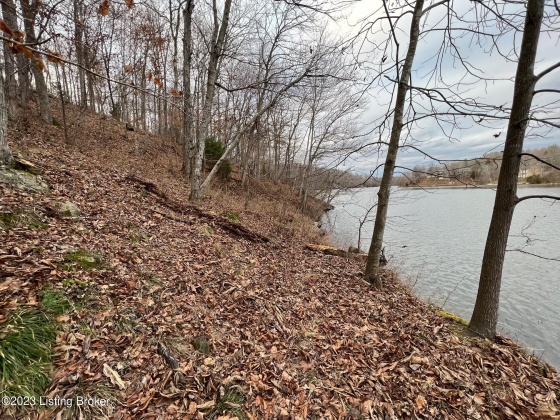 320 Shawnee Path, Lewisburg, Kentucky 42256, ,Land,For Sale,Shawnee Path,1649506