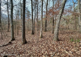 L37 Ted Logsdon Rd, Clarkson, Kentucky 42726, ,Land,For Sale,Ted Logsdon,1614942