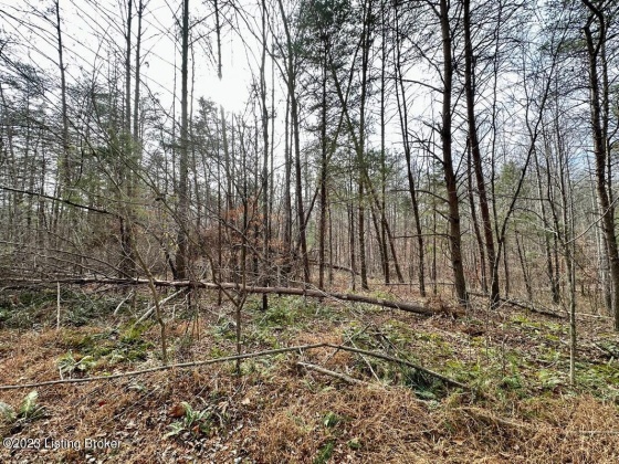 L37 Ted Logsdon Rd, Clarkson, Kentucky 42726, ,Land,For Sale,Ted Logsdon,1614942