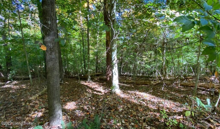 L37 Ted Logsdon Rd, Clarkson, Kentucky 42726, ,Land,For Sale,Ted Logsdon,1614942