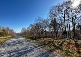 48 Barney Rd, Lewisburg, Kentucky 42256, ,Land,For Sale,Barney,1649707