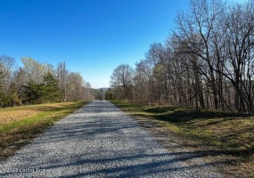 48 Barney Rd, Lewisburg, Kentucky 42256, ,Land,For Sale,Barney,1649707