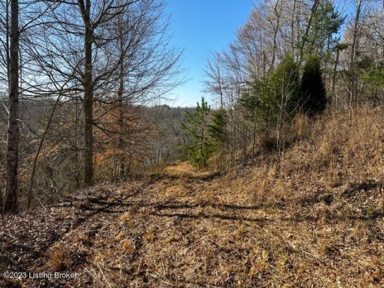 48 Barney Rd, Lewisburg, Kentucky 42256, ,Land,For Sale,Barney,1649707