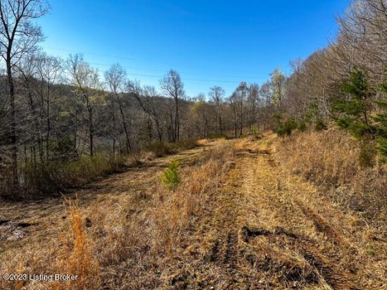 48 Barney Rd, Lewisburg, Kentucky 42256, ,Land,For Sale,Barney,1649707