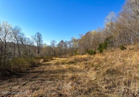 48 Barney Rd, Lewisburg, Kentucky 42256, ,Land,For Sale,Barney,1649707