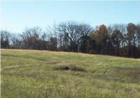 990 Mockingbird Dr, Taylorsville, Kentucky 40071, ,Land,For Sale,Mockingbird,1649730