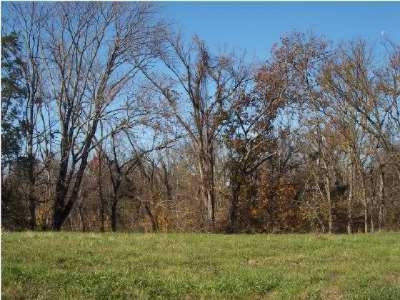 990 Mockingbird Dr, Taylorsville, Kentucky 40071, ,Land,For Sale,Mockingbird,1649730