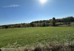 0 Hwy 227, Worthville, Kentucky 41098, ,Land,For Sale,Hwy 227,1649793