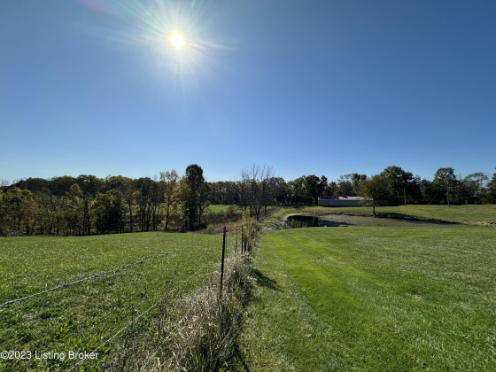 0 Hwy 227, Worthville, Kentucky 41098, ,Land,For Sale,Hwy 227,1649793