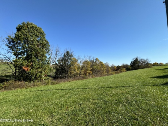 0 Hwy 227, Worthville, Kentucky 41098, ,Land,For Sale,Hwy 227,1649793