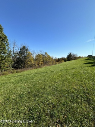 0 Hwy 227, Worthville, Kentucky 41098, ,Land,For Sale,Hwy 227,1649793