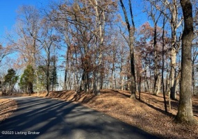 Lot 1 Bethel Church Rd, Brandenburg, Kentucky 40108, ,Land,For Sale,Bethel Church,1649996