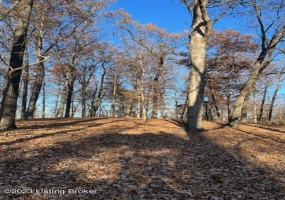 Lot 1 Bethel Church Rd, Brandenburg, Kentucky 40108, ,Land,For Sale,Bethel Church,1649996