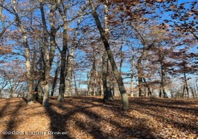 Lot 1 Bethel Church Rd, Brandenburg, Kentucky 40108, ,Land,For Sale,Bethel Church,1649996