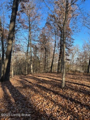 Lot 1 Bethel Church Rd, Brandenburg, Kentucky 40108, ,Land,For Sale,Bethel Church,1649996