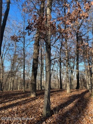 Lot 1 Bethel Church Rd, Brandenburg, Kentucky 40108, ,Land,For Sale,Bethel Church,1649996