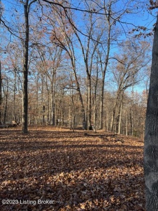 Lot 1 Bethel Church Rd, Brandenburg, Kentucky 40108, ,Land,For Sale,Bethel Church,1649996