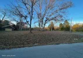 2295 Wolfpen Rd, Pendleton, Kentucky 40055, ,Land,For Sale,Wolfpen,1650014