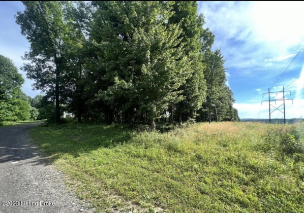 Lot 459 Lickskillet Dr, Shepherdsville, Kentucky 40165, ,Land,For Sale,Lickskillet,1650079