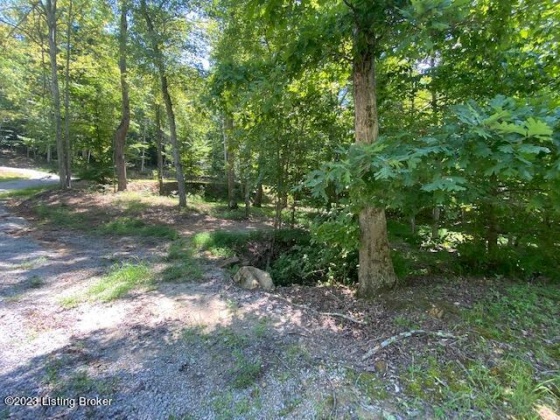 22 White Oak Ln, Leitchfield, Kentucky 42754, ,Land,For Sale,White Oak,1650150