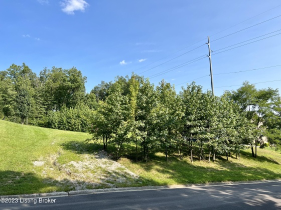 Lot 32 Peak Ave, Shepherdsville, Kentucky 40165, ,Land,For Sale,Peak,1650147