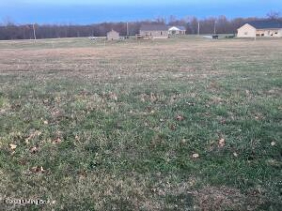 136 Locust Grove, Bedford, Kentucky 40006, ,Land,For Sale,Locust Grove,1650175