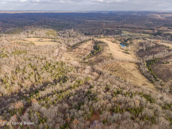 1600 Crooked Creek Rd, Lawrenceburg, Kentucky 40342, ,Land,For Sale,Crooked Creek,1650297