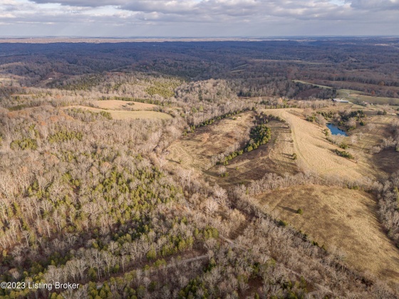 1600 Crooked Creek Rd, Lawrenceburg, Kentucky 40342, ,Land,For Sale,Crooked Creek,1650297