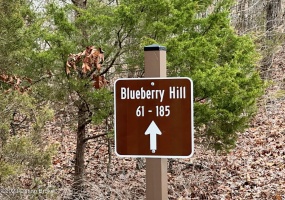 #93 Blueberry Hill, Bee Springs, Kentucky 42207, ,Land,For Sale,Blueberry Hill,1650340