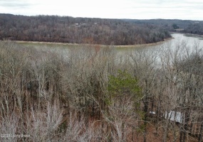 #94 Blueberry Hill, Bee Springs, Kentucky 42207, ,Land,For Sale,Blueberry Hill,1650341