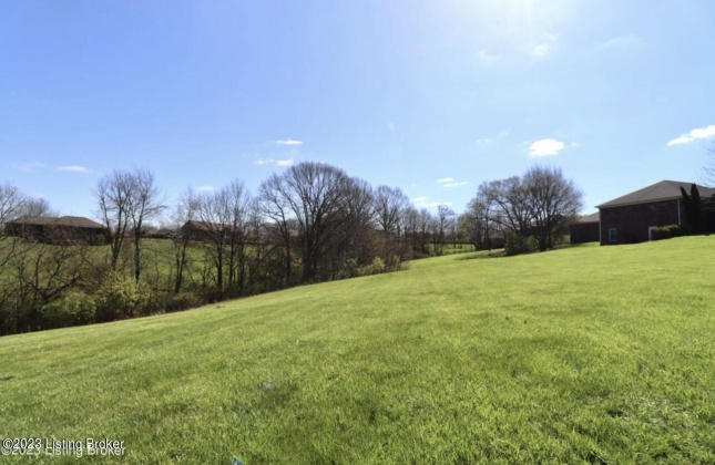 28 Chelsey Park Dr, Fisherville, Kentucky 40023, ,Land,For Sale,Chelsey Park,1650370