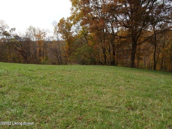 Tract 1-A Applegate Run, Shepherdsville, Kentucky 40165, ,Land,For Sale,Applegate Run,1613339