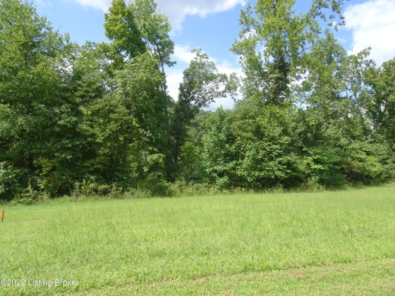 Tract 1-A Applegate Run, Shepherdsville, Kentucky 40165, ,Land,For Sale,Applegate Run,1613339