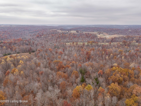 0 Campbellsville Rd, Buffalo, Kentucky 42716, ,Land,For Sale,Campbellsville,1651069