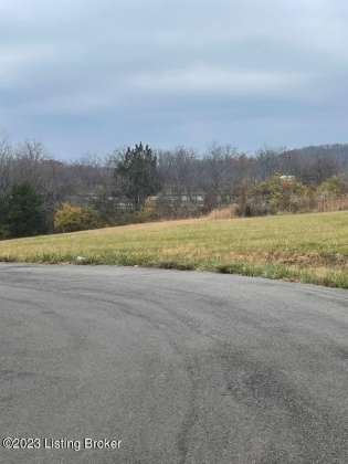 Lot 4 Shain Ln, Pendleton, Kentucky 40055, ,Land,For Sale,Shain,1651116