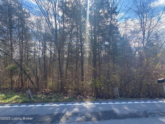 Lot 9 Bethlehem Rd, Bethlehem, Kentucky 40007, ,Land,For Sale,Bethlehem,1651258