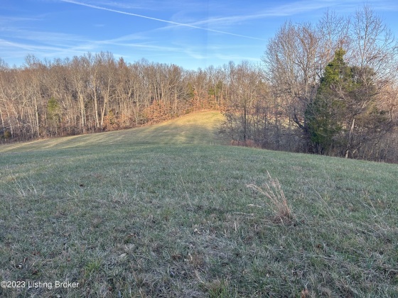 9396 629 Hwy, Falls Of Rough, Kentucky 40119, ,Land,For Sale,629,1651467